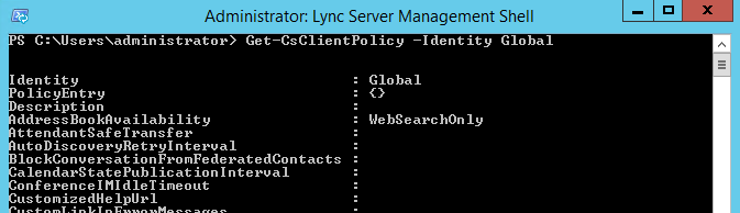 lync_websearchonly